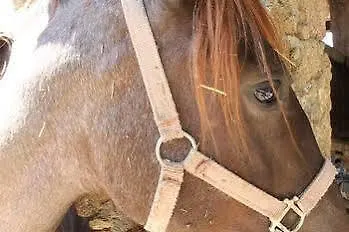 Casa Rural Atuvera Hotel Villanueva De La Vera